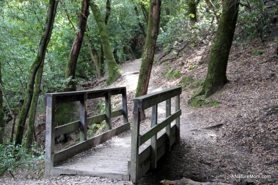 Las Trampas Hike 018