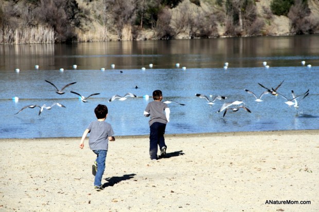 Shadow Cliffs Trout Release 003
