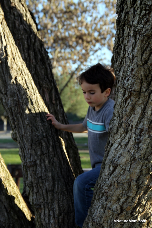Shadow Cliffs Trout Release 077