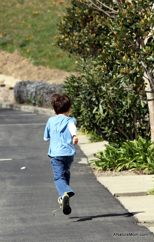 Signs of Spring Walk 002