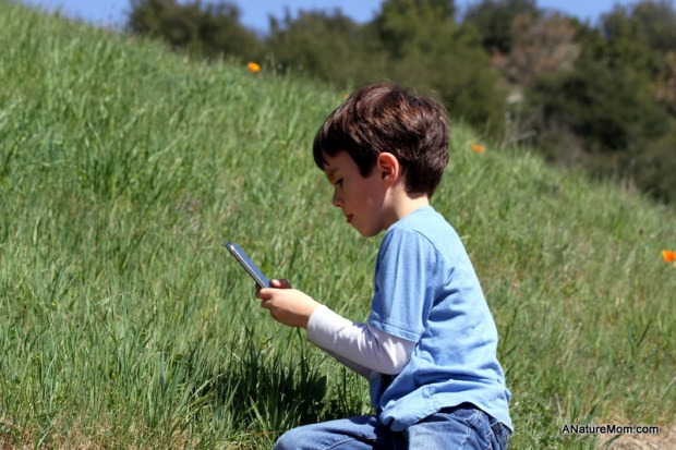 Signs of Spring Walk 018