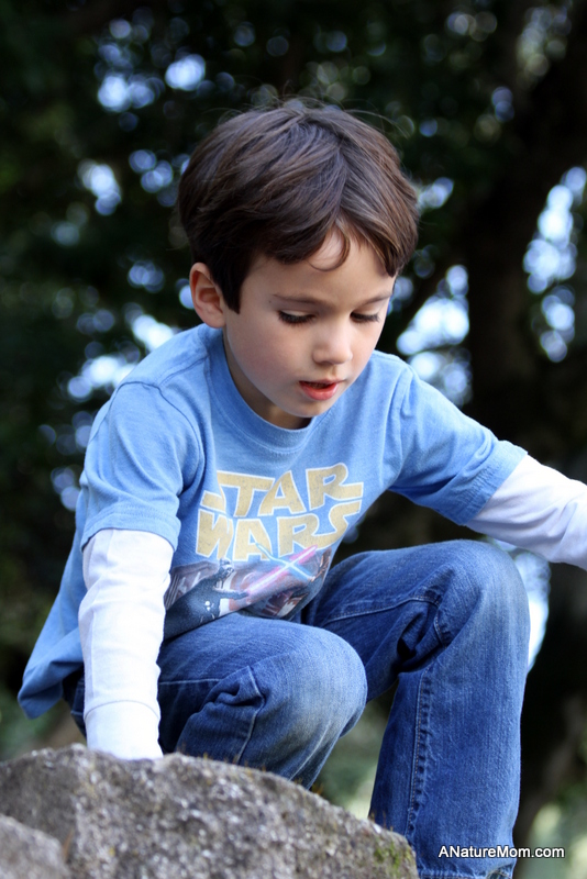 Signs of Spring Walk 028