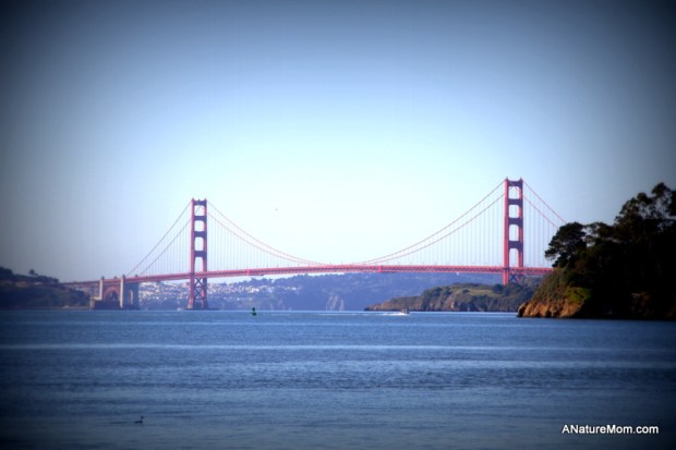 Tiburon and Sausalito 001