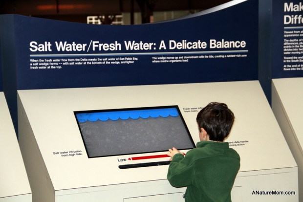 Tiburon and Sausalito 045