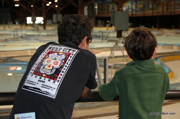 Tiburon and Sausalito 059