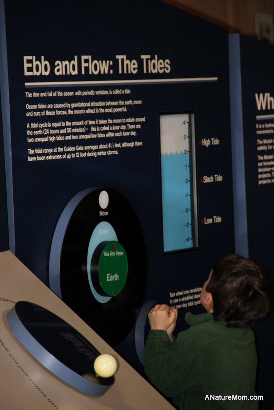 Tiburon and Sausalito 063