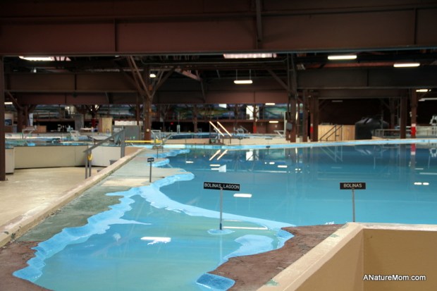 Tiburon and Sausalito 066