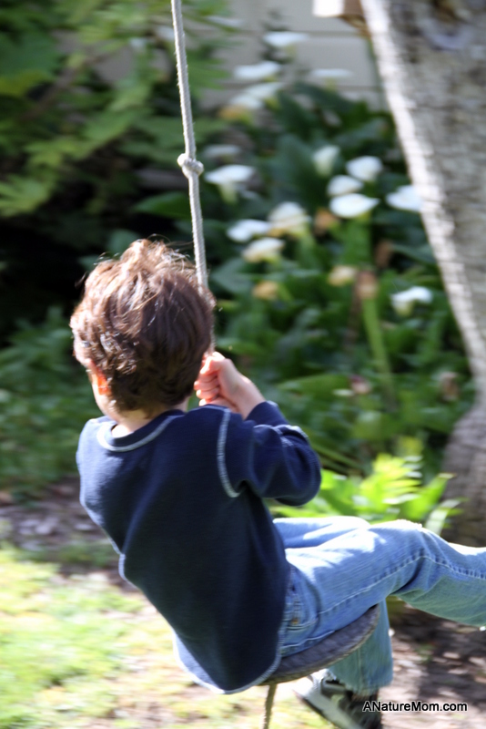 Greg and Sylvia Anniversary Party 008