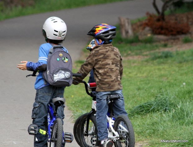 Redwood Bike Ride 004