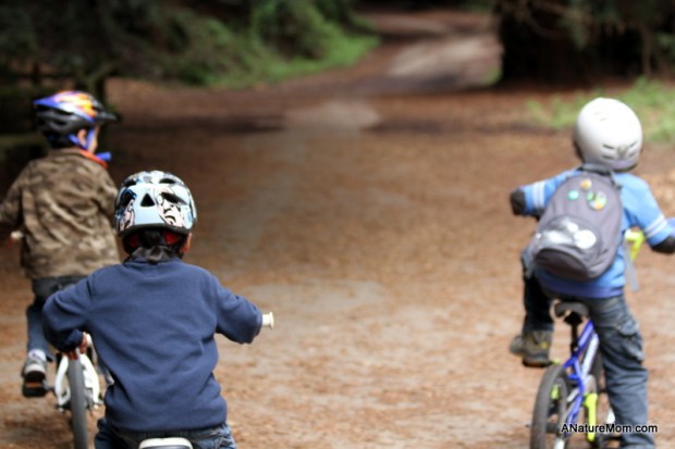 Redwood Bike Ride 009