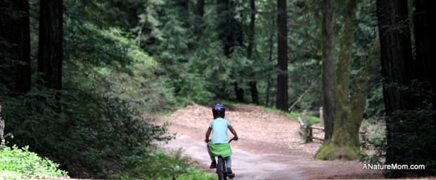 Redwood Bike Ride 024