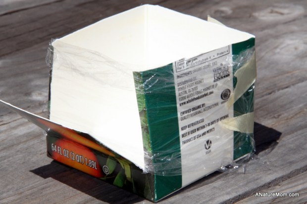 Seed Viewer Project 003