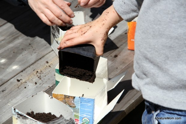 Seed Viewer Project 009