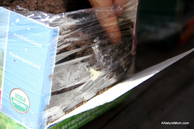 Seed Viewer Project 012