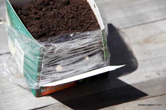 Seed Viewer Project 018