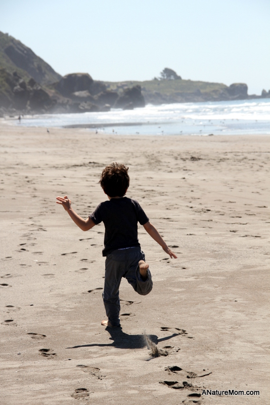 Stinson Beach Earth Day 004