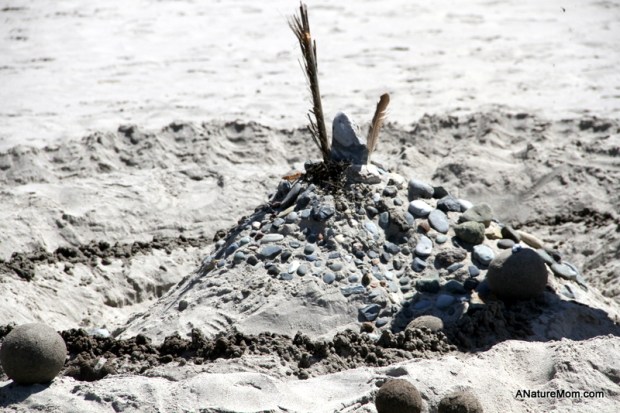 Stinson Beach Earth Day 024