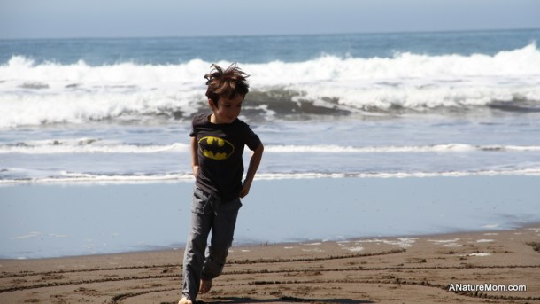 Stinson Beach Earth Day 031