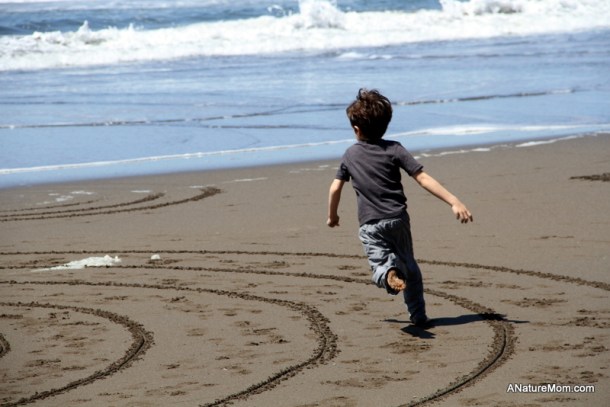Stinson Beach Earth Day 036