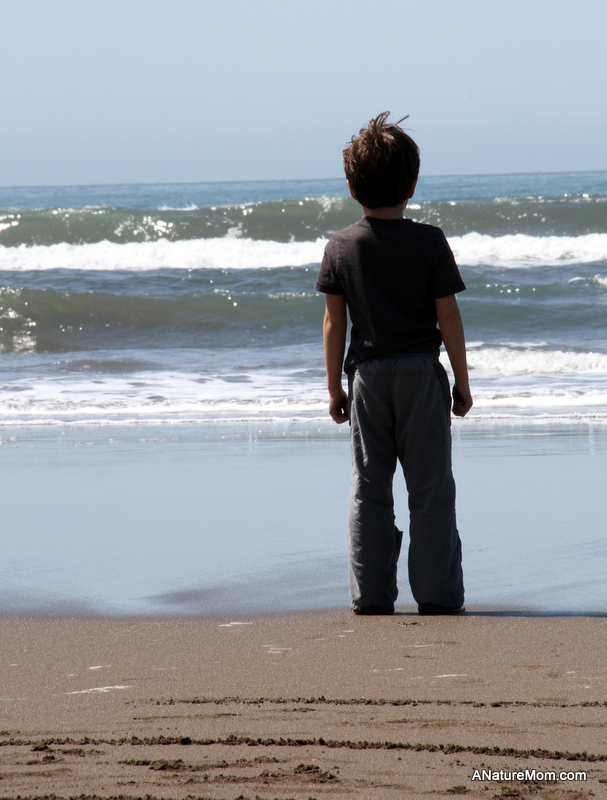 Stinson Beach Earth Day 042
