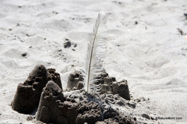 Stinson Beach Earth Day 086