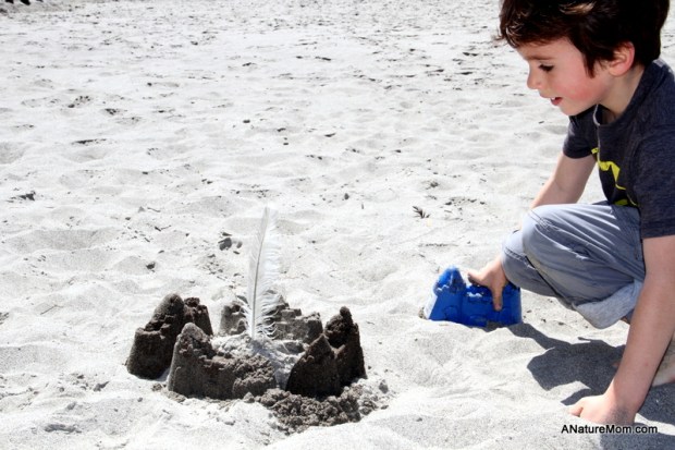 Stinson Beach Earth Day 089