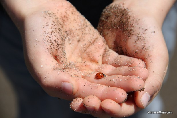 Stinson Beach Earth Day 106