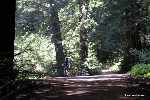 Swim Lesson Bike Ride 053