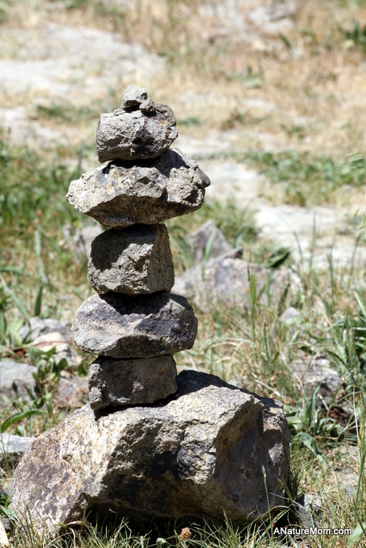 Sibley Mother's Day 022