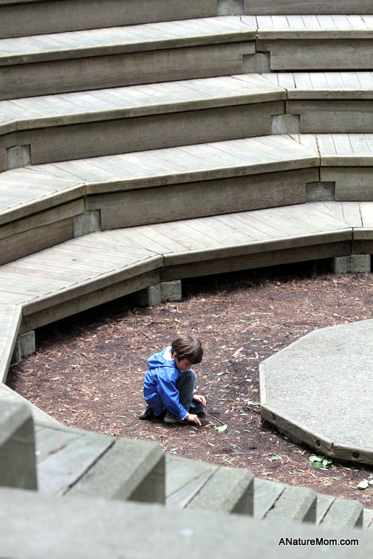 UC Berkeley Botanic Garden 174