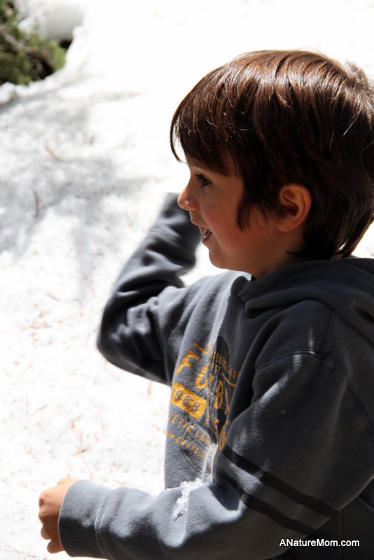 Yosemite May 2013 003