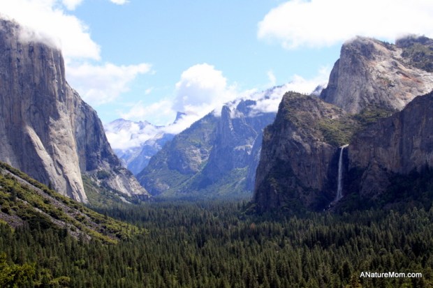 Yosemite May 2013 004