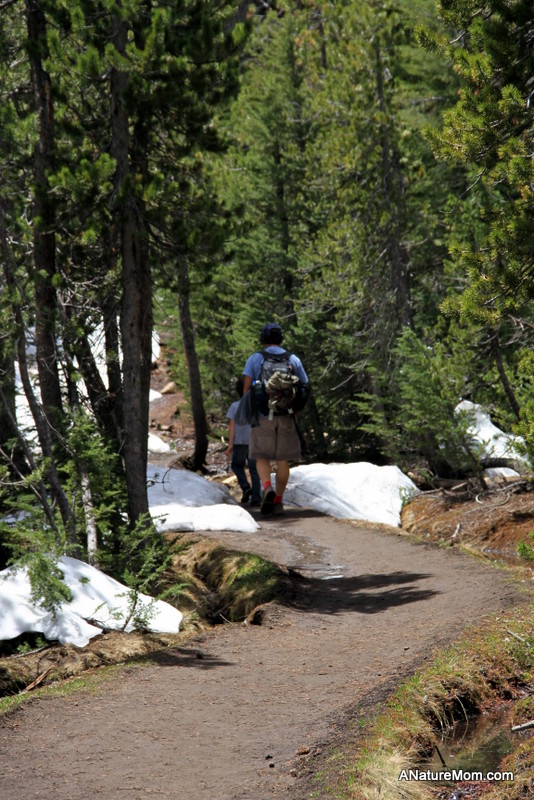 Yosemite May 2013 014
