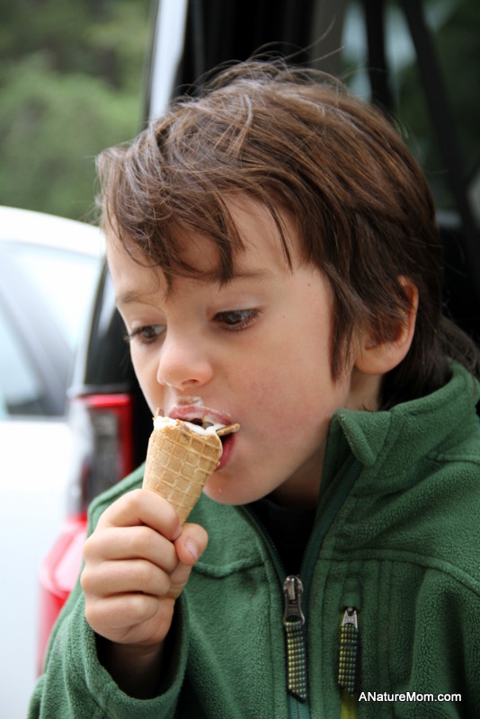 Yosemite May 2013 016