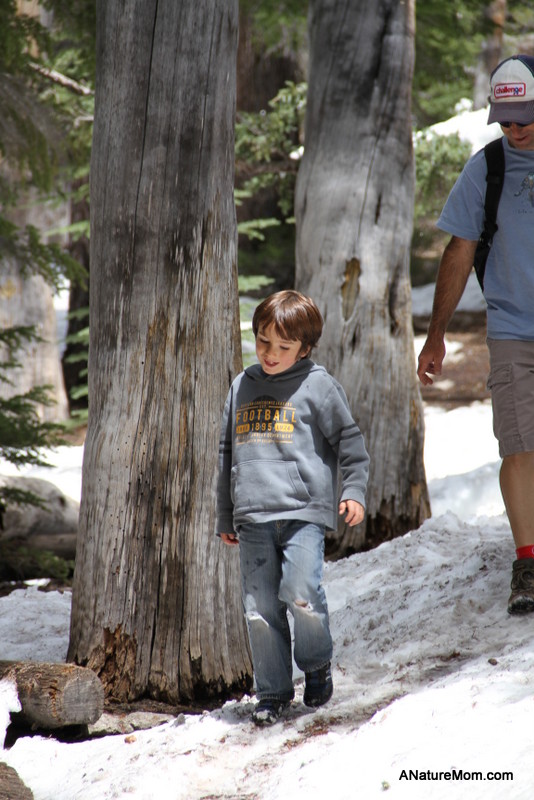 Yosemite May 2013 025