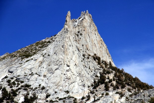 Yosemite May 2013 041