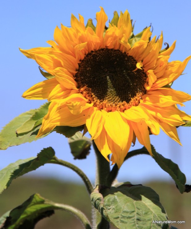 Butano Camp Trip 049