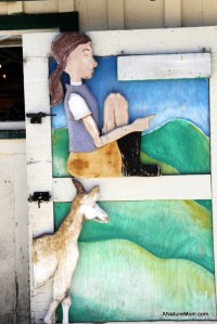 Butano Camp Trip 105