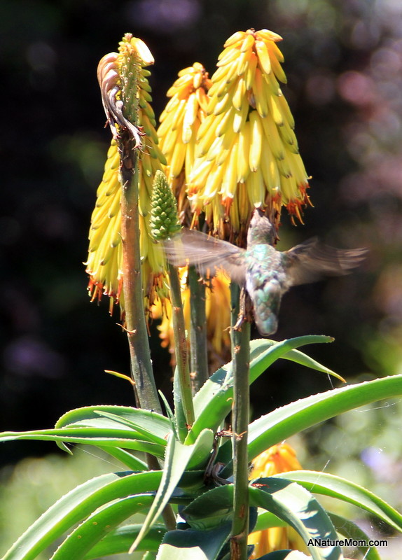 Butano Camp Trip 128