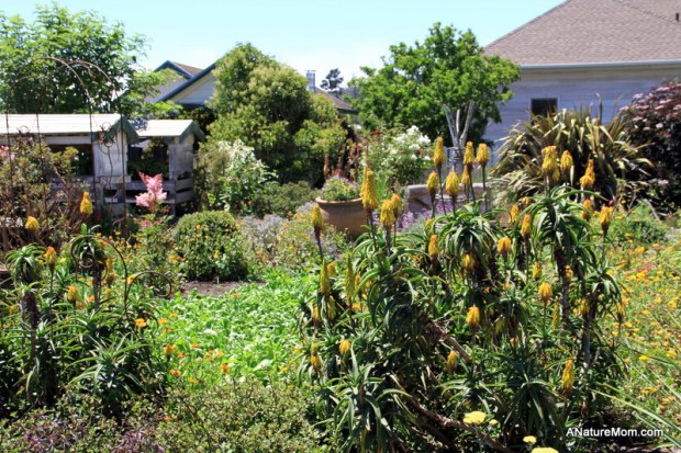 Butano Camp Trip 132