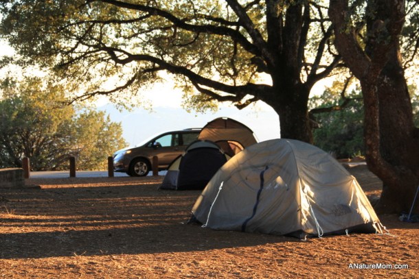 Camping Mount Diablo 036