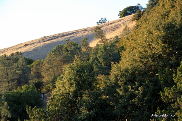 Camping Mount Diablo 044