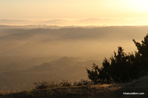 Camping Mount Diablo 048