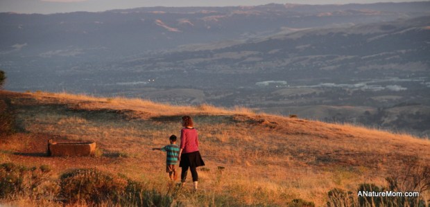 Camping Mount Diablo 073