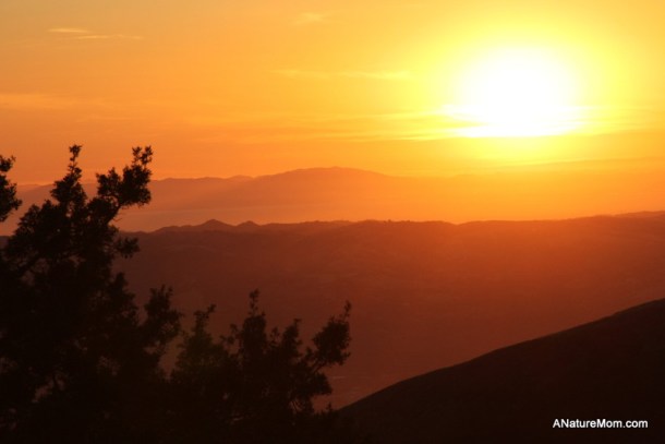 Camping Mount Diablo 076
