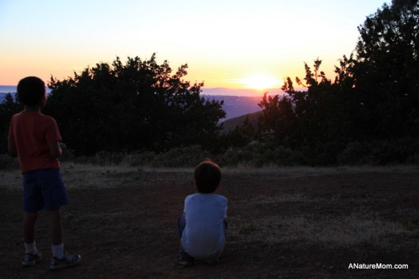 Camping Mount Diablo 092