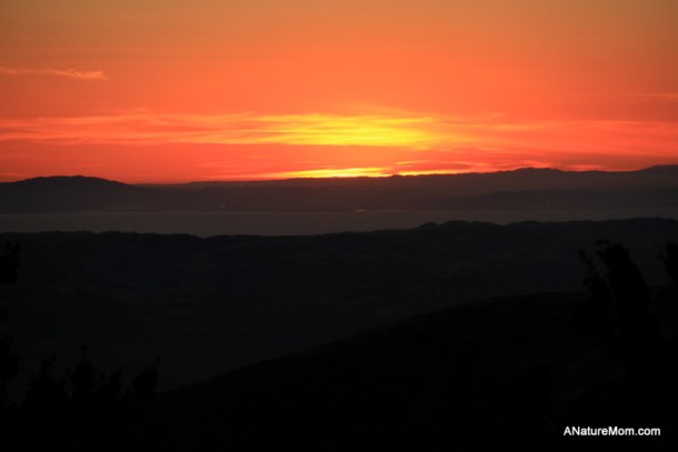 Camping Mount Diablo 099