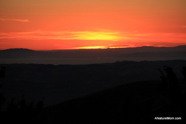 Camping Mount Diablo 099