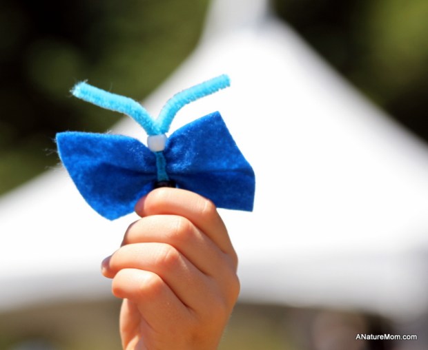 Coyote Hills Bird and Butterfly Festival 001