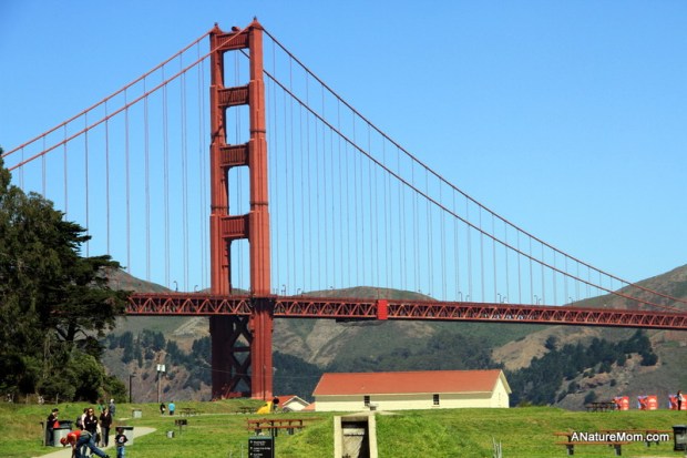 Crissy Field and Yoda 039